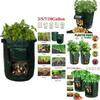 Durable And Reusable Potato Bags For Balcony And Patio Gardening 10 Gallon Capacity