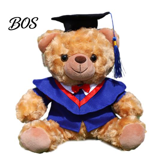 Luxury Gift Packaging Bear Personalized Graduation Gifts 2026 for Her, Cute Teddy with Embroidered Gown Award And Cap, Soft Plush Mascot College High