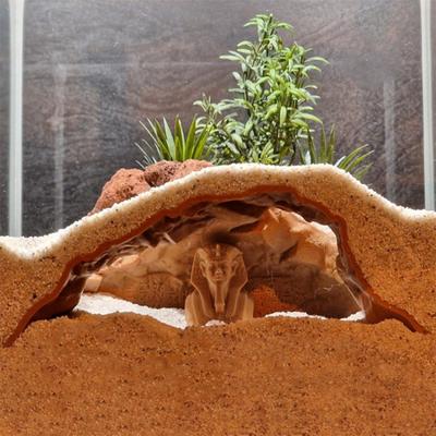Aquarium Tunnel Cave Egyptian Pharaoh Under Gravel Tunnel Small Fish And Shrimp Hideout with Viewing Ports for Betta Pleco Shrimp Tank Decor