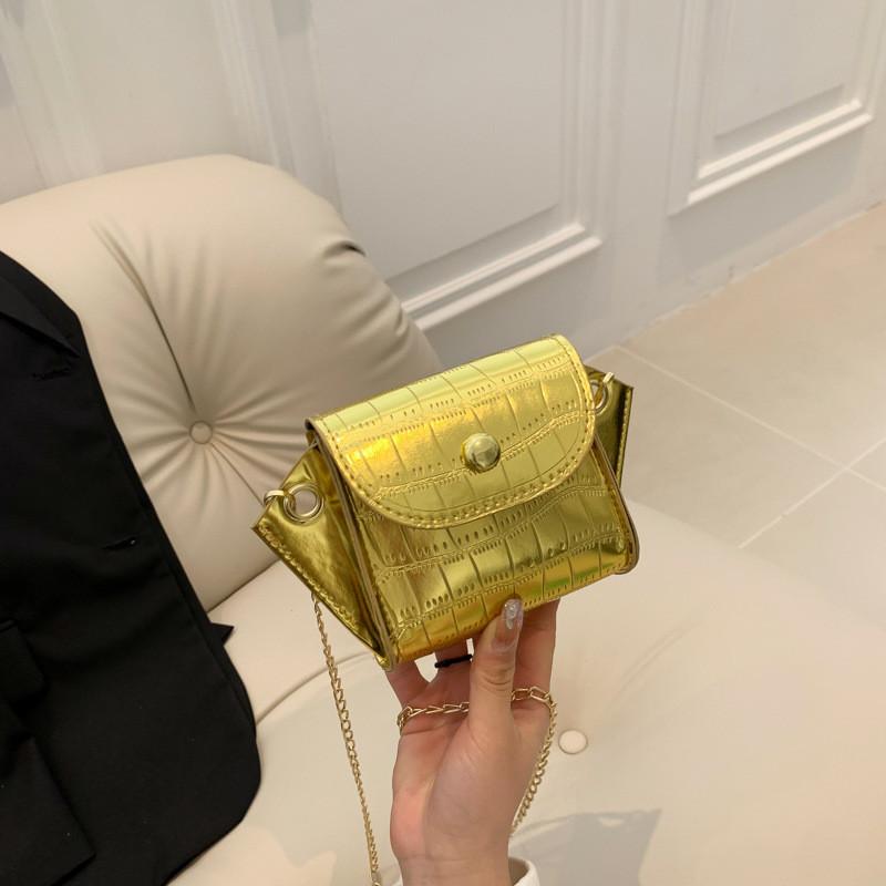 Trendy Summer Fashion Small Chain Crossbody Bag For Women In Elegant Colors