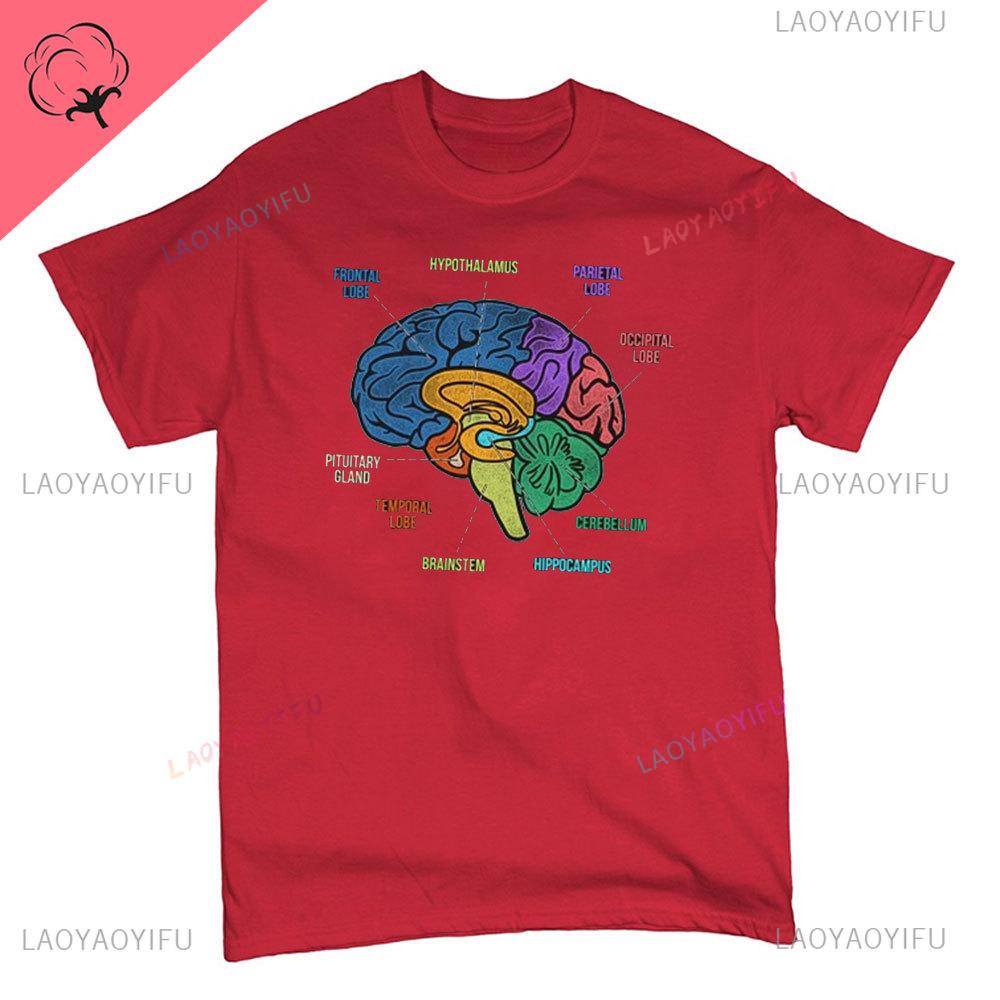 Funny Part of The Brain Color Chart High Quality Tshirt Neurology Print Harajuku Unisex Summer Short Sleeve Gift Tshirt Tops