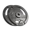 Cast Iron Weight Plate Set 4x5kg 20kg Hole 31mm Plate with Handles Rebel