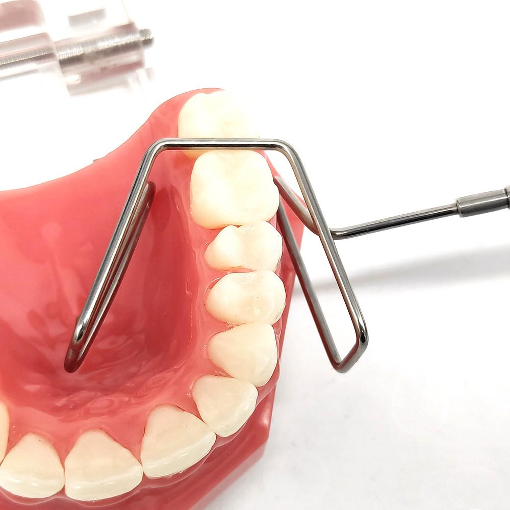 1 Pc or 2 Pcs Dental Lip Cheek Isolator Lip Cheek Separator Retractors Tongue Isolator Stainless Steel Lingual Separator