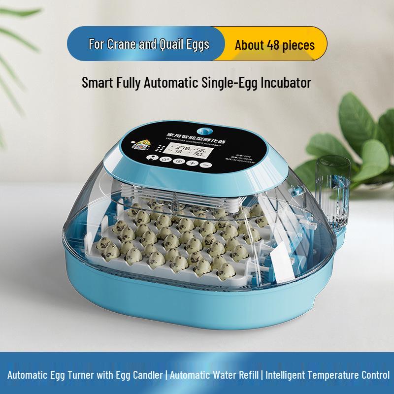 Smart Egg Incubator for Small Households - Ideal for Chicken, Duck, Goose, Pigeon, and Quail Eggs.