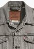 Demi-season Jacket Levi's Herren The Trucker Jacket Man Grey