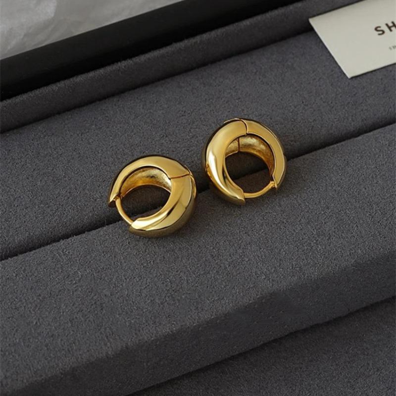 Oval Earrings with Silver Hooks and Clasps, Women's Simple and Niche Electroplated Gold Style