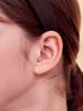 Engbrox [Silver925] Icy Heart Cubic Piercing