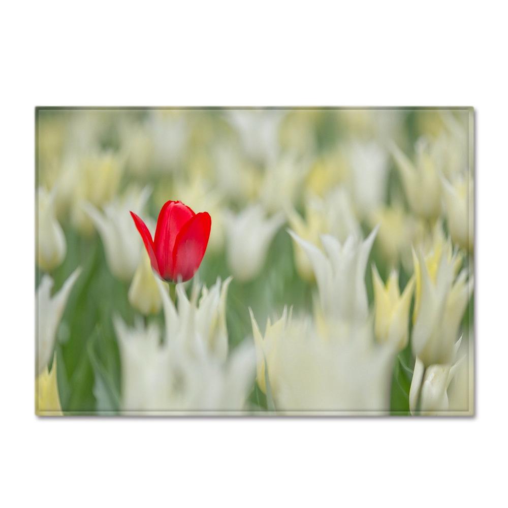 Scenic Carpet Feather Wind Bedroom Floor Mat