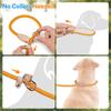 Grand Line Pet Slip Lead Rope for Extra Large Dogs and Cats Pink X 150cm Small, Medium, Large, - 1.5m 0.6cm