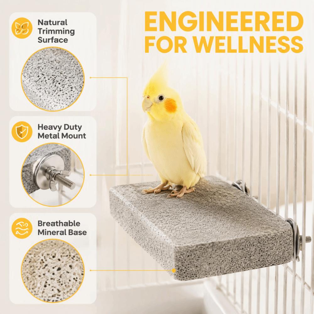 Washable Pumice Claw Grinding Platform Safe Bird Resting Platform  Cage Decoration