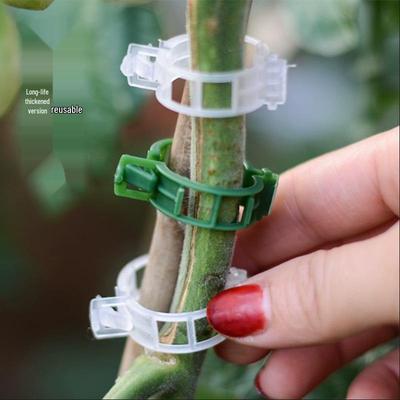 100-Pack Climbing Plant Fixing Clips - Green Vine Support Buckles for Plant Climbing and Stability