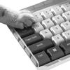 78/108 Keys Acrylic Transparent Dust-Proof Keyboard Case Mechanical Keyboard Dust Cover For E-Sports Computer Gamer