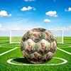 1pc Golden Retriever Tabby Cat Theme Soccer Ball Football, Size 5, Lightweight PVC, Durable Outdoor Training Soccer Ball, Gift m61471