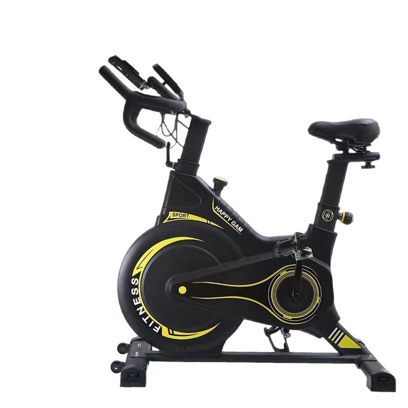 Magnetic Control Silent Spin Bike - Indoor Exercise Bicycle for Home Gym
