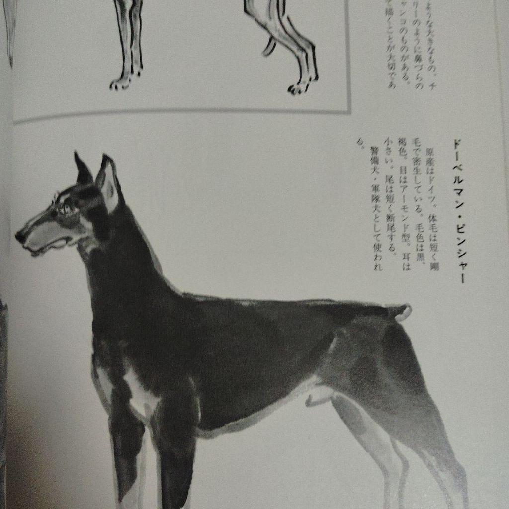 [USED] Anonymous Delivery Dog Ink Painting by Yamada Gyokuun, Shusakusha Art Collection