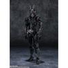 TAMASHII NATIONS S.H. Figuarts Kamen Rider BLACK SUN Standard Version 150mm ABS PVC Painted Action Figure BAS63330