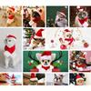 Festive Pet Accessories Cat Dog Christmas Costume Festive Pet Christmas Hat Scarf Set for Dogs Cats Fluffy Winter for Holiday
