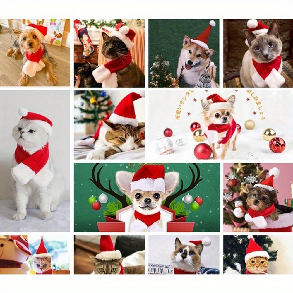 Festive Pet Accessories Cat Dog Christmas Costume Festive Pet Christmas Hat Scarf Set for Dogs Cats Fluffy Winter for Holiday