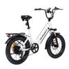 20 Inch Snow Mountian Electric Bicycle Bodywel F20 All-Terrain E-Bike  48V15Ah Battery 500W Motor 20 Inch Fat Tires 120KG Load Electric Bike