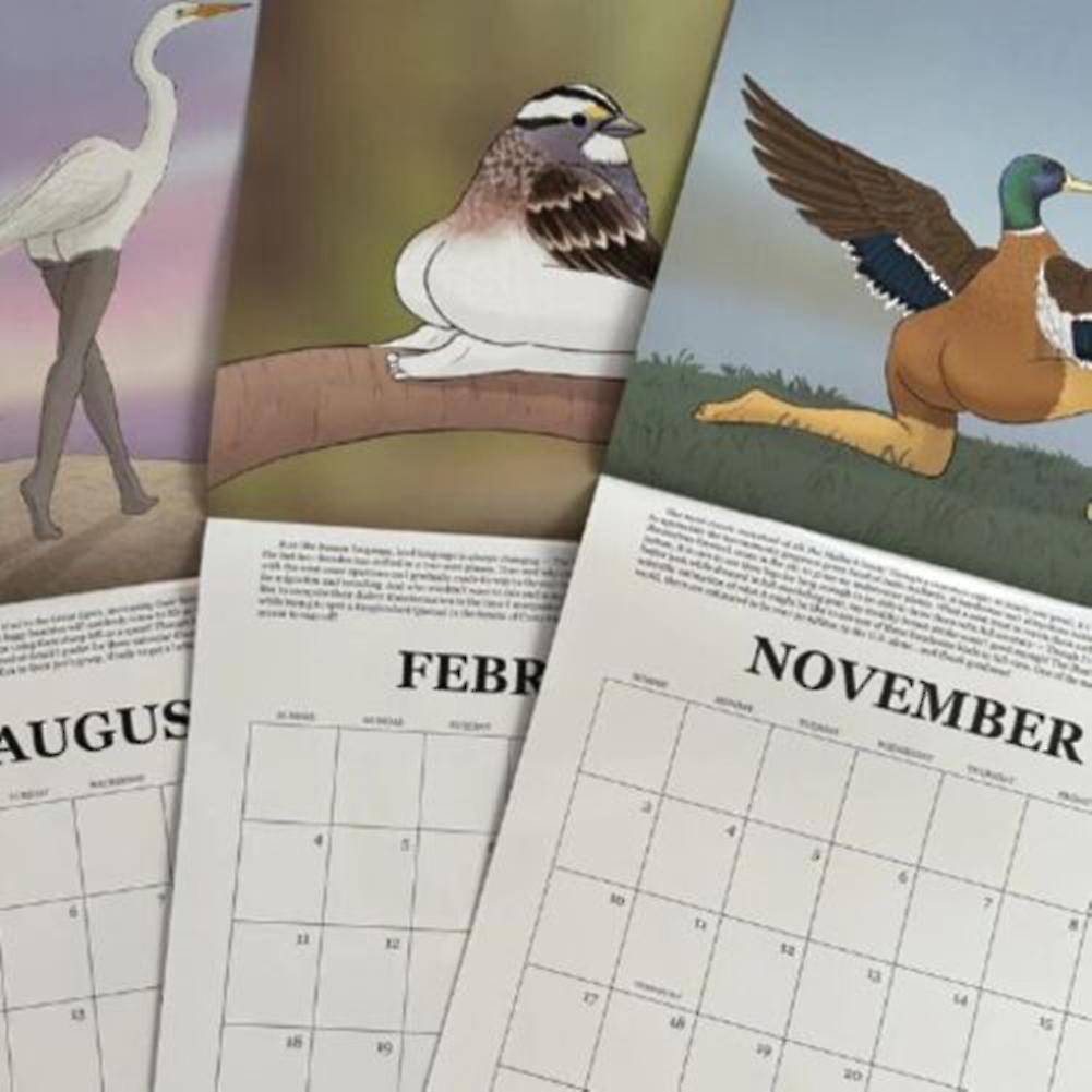 Calendar of Extremely Accurates Birds Wall Calendar Modern Calendar Decoration for Bedroom Living Room