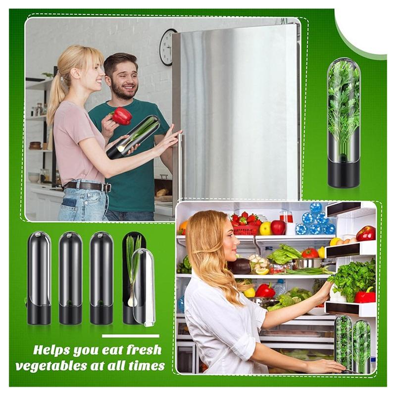 Vanilla Fresh Keeping Box Household Vegetable Fresh Keeping Device Coriander Herbal Travel Fresh Keeping Box