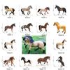 PVC Figurines Horse Animal Model Simulation Wild Life Horse Model  Early Educational