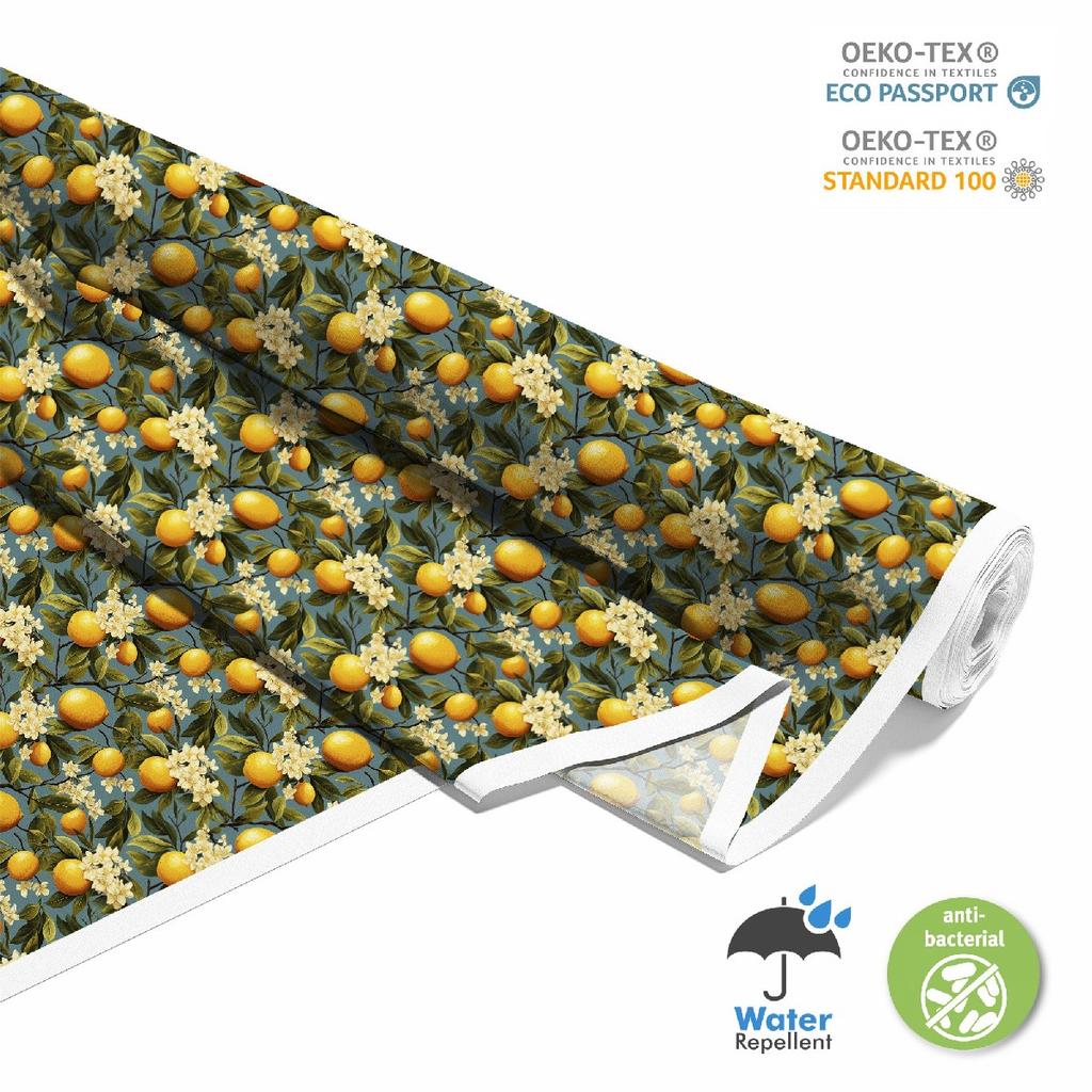 Outdoor Dekostoffe Oxford - Motiv Obst | Dx6255