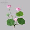 Lotus Flower & Leaf Artificial Decoration - Green Plant Handicraft INS Style for Wedding
