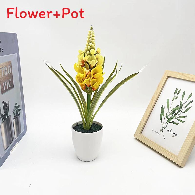 

Hyacinthus L Orientalis Velvet Finish Black Sand Bonsai Wedding Prop Photography Yellow