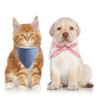 Pet Bandanas Plaid Dots Style Cotton Washable Dog Bandanas Scarf Bowties Collar Pet Square Bib For Puppies Kittens