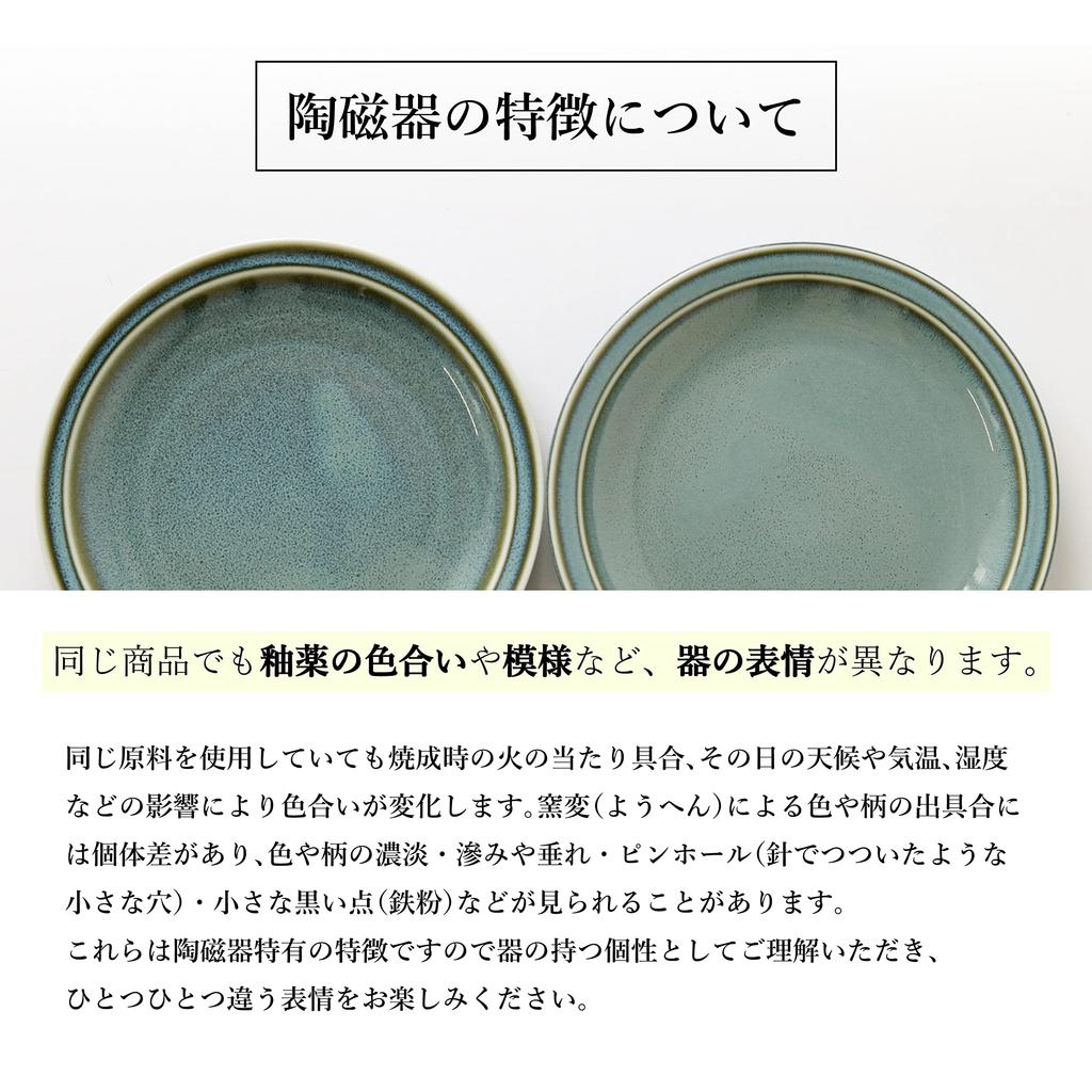 Dolce duo Curry and Pasta Plate Set Large and 4 Medium Serving Made in (1 Plates) - Set, Japan, Gift, BS-1668