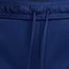 Nike Inter Milan Strike Dri-FIT Soft Skin Football Pants Men bottoms HJ6752-492