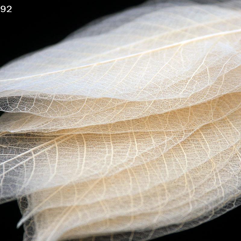 5~9CM*2~3.5CM,10PCS/Set,Real Dried Natural Vajra Leaf ,Pressed Dry Flowers Skeleton Leaves,DIY Wedding Decoration