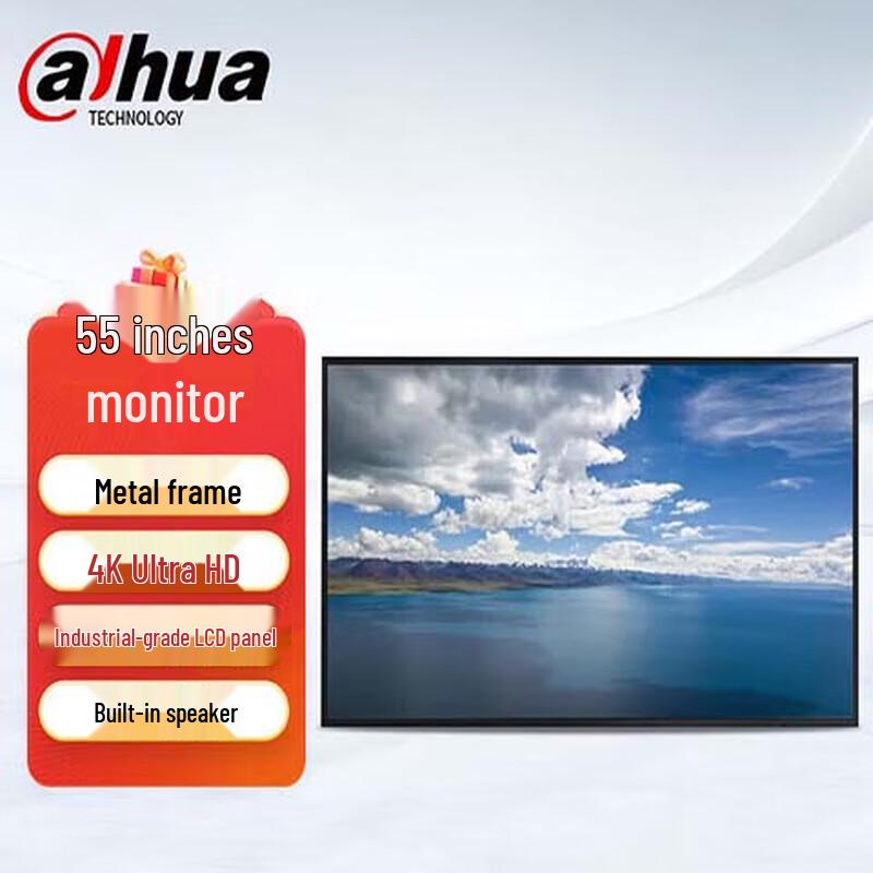 Dahua Security Monitoring Display CN plug (adapter included)