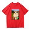 Meowl ruft Anruf Meme Gehirnfäule Lustige Katze Eule T-Shirts Damenbekleidung Mode Harajuku Kurzarm Baumwoll-T-Shirts