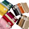 Solid color imitation cashmere scarf women's metal standard shawl women's high-grade relaxation camel-colored warm scarf