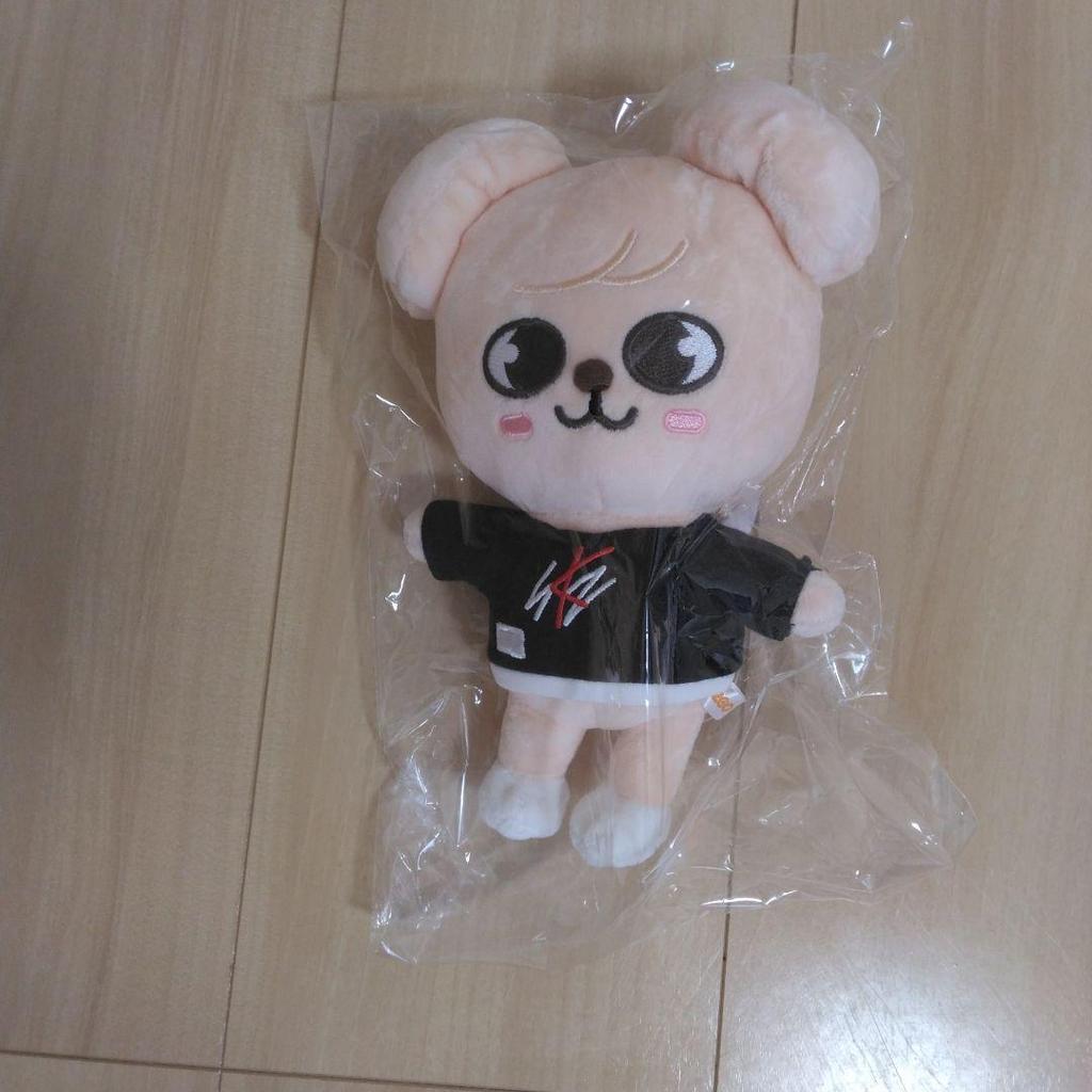 Used Stray Kids SKZOO Puppym Original Stuffed Toy
