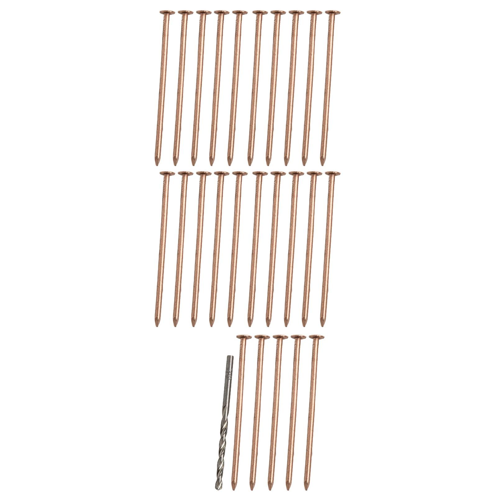 Tree Killer Copper Nails 4 Inch Length for Effective Stump and Root Treatment