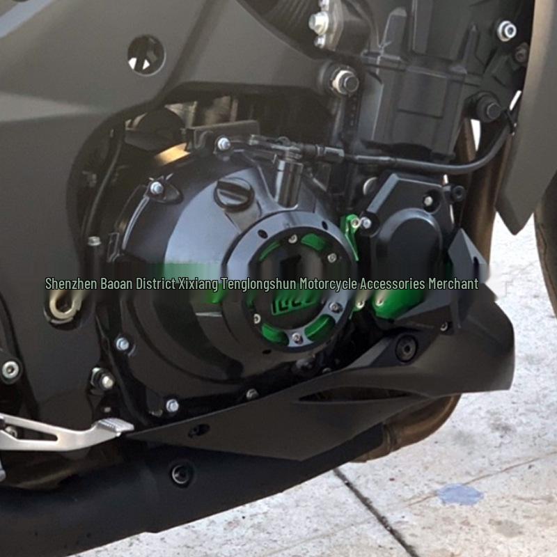 Kawasaki Z900/1000 Engine Guard: Anti-fall Block Accessory