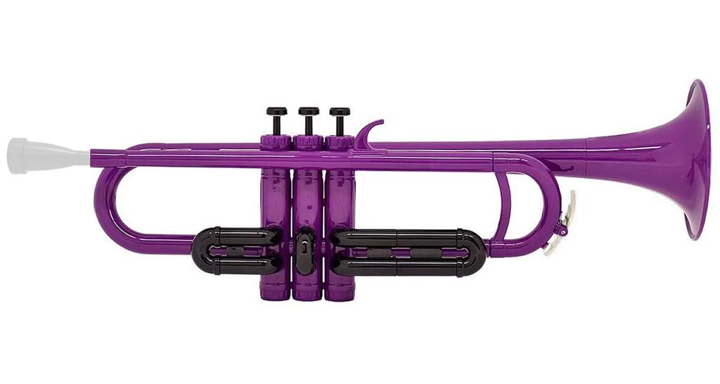 ZO Plastic Trumpet TP-04BK, Purple with Black Trim, Lightweight 515g Body, for Beginners and Kids, Resin Mouthpiece & Soft Case Included