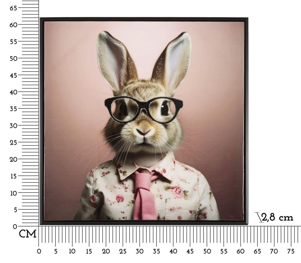 Lackiertes Wandbild mit Rahmen Hase mit Rahmen cm 62,5X2,8X62,5