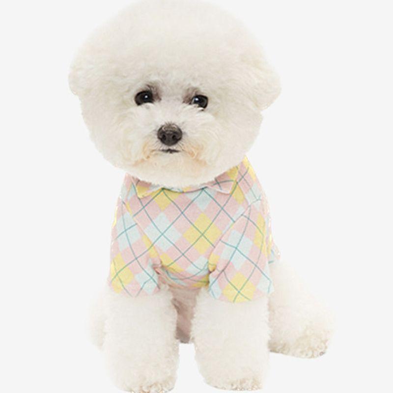 SALTYHEARTY Standard Check Collar Top PINK