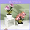 Simulated Flower Four Spotted Striped Phalaenopsis Artificial Bonsai Decor Room