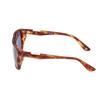 BMW Men's Havana Sunglasses