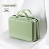 Portable Travel Cosmetic & Luggage Bag