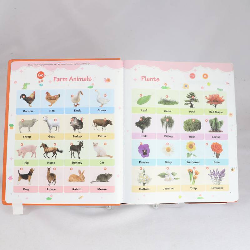 Childrens English Learning Book For Early Education And Sensory Development