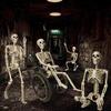 36" Halloween Posable Skeletons Full Body Plastic Human Bone Model with Movable Joints for Yard Haunted House Indoor Outdoor Decor