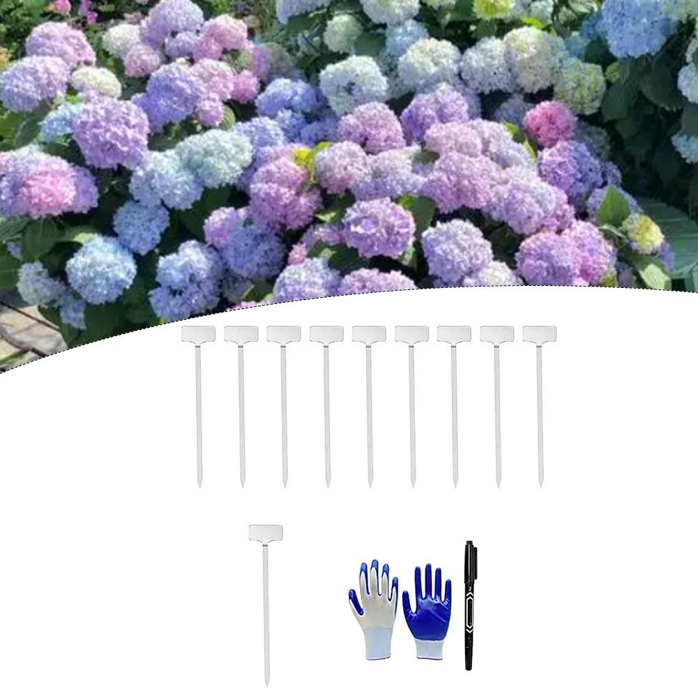 

12pcs Plant Label Kit 201 Stainless Steel Garden Plant Label Set With Plastic Stakes For Marking Flowers Vegetables Herbs China Mainland