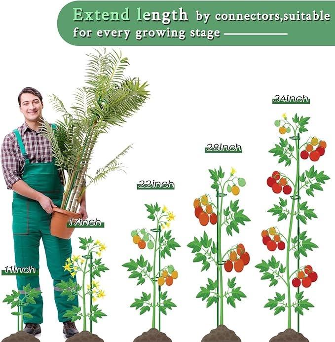 

Plant Support Pole, Hippeastrum, Phalaenopsis Flower Climbing Fixed Frame, -toppling Bracket, Support Pole Fixing Tool one size