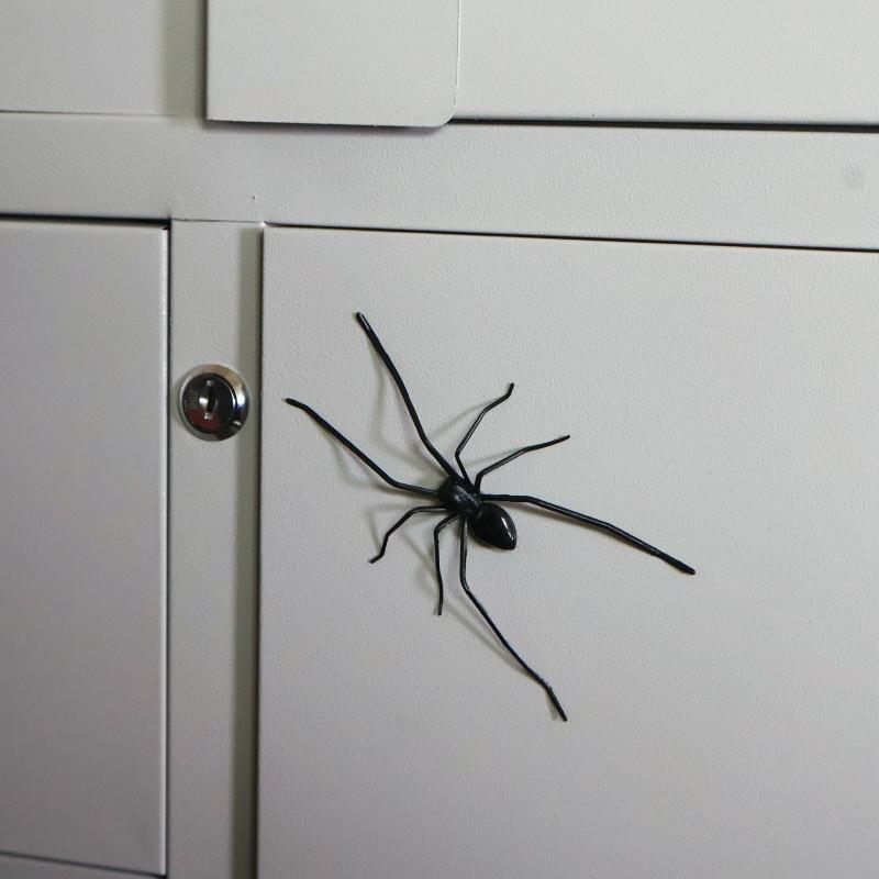 Lifelike Texture Big Spider Fridge Magnet Funny Prank Horror Magnetic Ornament 1Pcs for Kitchen Home Decor